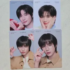 TXT トゥバ ボムギュ コーラルヘイズ カード 4枚