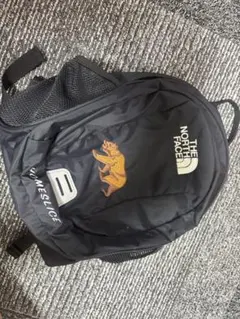 THE NORTH FACE Homeslice NMJ72361