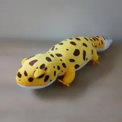 レオパのきいちゃん