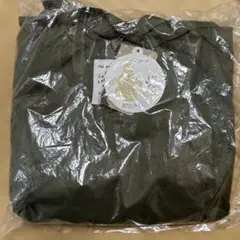 Item thumbnail for item 36e05031-ce8d-4534-a86c-46f3141c1d75