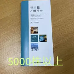 東急不動産ホールディングス株主優待券(5000株以上保有)