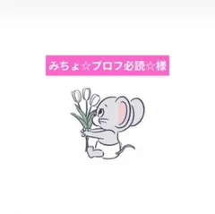 2025年最新】プロフ必読！の人気アイテム - メルカリ