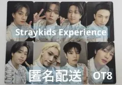 【匿名配送】Straykids Experience 韓国 限定トレカ コンプ