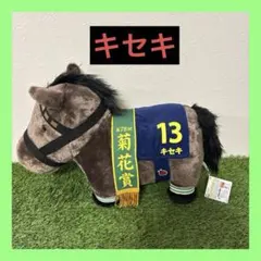 【タグあり】キセキふわふわBIG