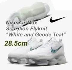 Nike Air Max Scorpion Flyknit スコーピオン