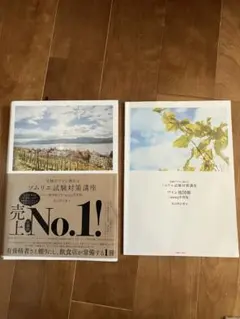 Item thumbnail for item 492684df-64d8-497b-bce0-3fa41db13b85