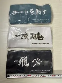 Item thumbnail for item c204ff66-12f3-4770-b415-39072917ee94