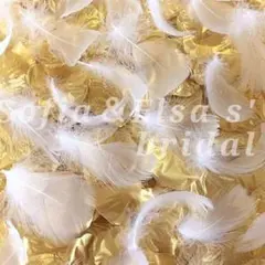 ✨フェザー入りフラワーシャワー✨ゴールド1,000枚セット匿名発送