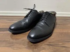 2026年最新】シャインオアレイン 25の人気アイテム - メルカリ