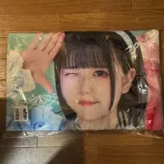 Item thumbnail for item 4b60a7d1-5eba-431c-b574-580198730bf8