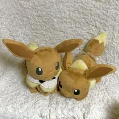 イーブイ ぬいぐるみ 一番くじ A賞 ラストワン賞 ポケモン Pokémon