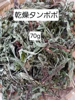 【ちこページ】乾燥タンポポ　オーダー用 ちこ様専用ページ】乾燥タンポポ オーダー用 - メルカリ
