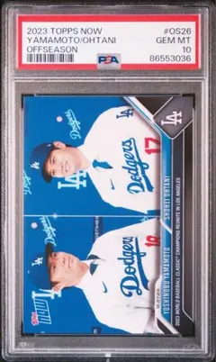 Item thumbnail for item 1c09798c-89aa-4749-8c0f-a4602e5b3bde