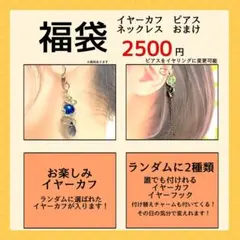 福袋 ピアスorイヤリング＆イヤーカフ 5点セット