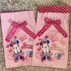 パルパルーザ　ミニー ファンダーランド　クッキー袋　リボンゴム　×2