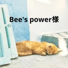 Bee's power様 リクエスト 2点 まとめ商品