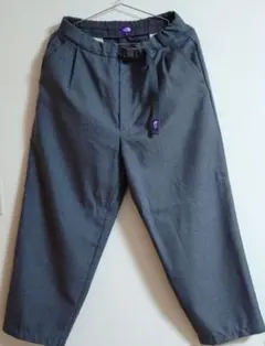 THE NORTH FACE PURPLE LABEL Pants 30
