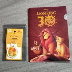 Item thumbnail for item 51c3ed0f-eede-4542-8326-55876047db1d