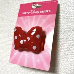 新品未使用　ディズニーランド　ミニー　ライトブレスレット　レア　パルパルーザ