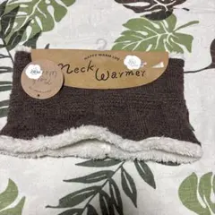 Item thumbnail for item e4c95693-db1d-4636-90c2-a01fcac925a2