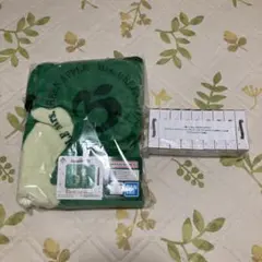 再々値下げ！Mrs. GREEN APPLE ブランケットとアクリルスタンド 専用です♪ ミセスグリーンアップル ブランケット Mrs. GREEN APPLE B