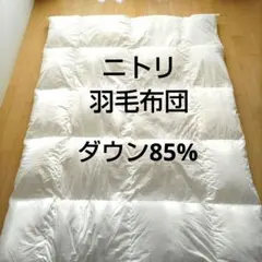 NITORI 羽毛掛けふとん シングルサイズ