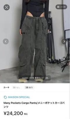 Many Pockets Cargo Pants/メニーポケットカーゴパンツのサムネイル