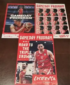 Item thumbnail for item 13c790ec-f106-4505-a94e-fcb3820199c8