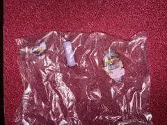 キミとアイドルプリキュア キラキラショータイムマイク 変身