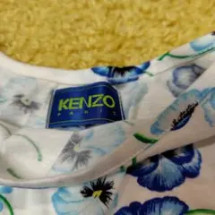 Item thumbnail for item eb420d36-9afb-41d3-8004-64e5601479b4