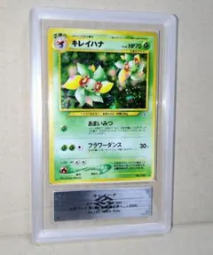 2026年最新】キレイハナ 旧 psa10の人気アイテム - メルカリ