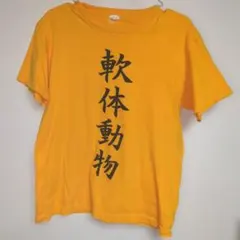 大森靖子と美しく生きる Tシャツ XLサイズ - メルカリ