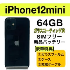 2025年最新】iPhone12mini 64gb バッテリー100%の人気アイテム