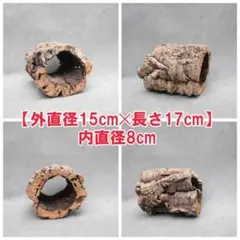 2026年最新】コルク樹皮 キャノンの人気アイテム - メルカリ