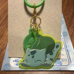 ポケモン ポケモンセンター限定 大器晩成 フカマル メタルチャーム
