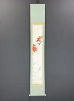 訳あり】夏掛け 掛軸 翡翠 西尾香悦 尺三 床の間 花鳥画 モダン掛け軸