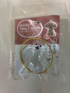 わんこのタイムカプセル 4個セット むぎ以外4個