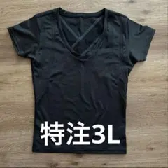 稀少サイズ✨BiBiグラントイーワンズ パンプ Vネック 半袖 ブラック 3L