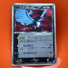 R団のフリーザー ex 構築済みデッキ ロケット団ハーフデッキW -silve…