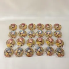ぴちぴちピッチ namco るちあ リナ ココ 星羅 缶バッジ 31点 セット