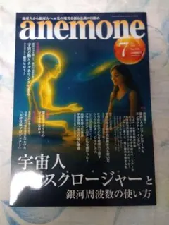 カヒリ様 リクエスト 2点 まとめ商品