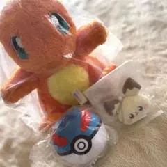 ポケモン ぬいぐるみ まとめ売り ヒトカゲ もふぐっと ピチュー