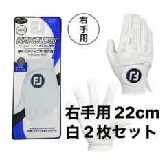 FJ 22cm 右手用 白2枚セット ナノロックツアーゴルフグローブ 2025のサムネイル