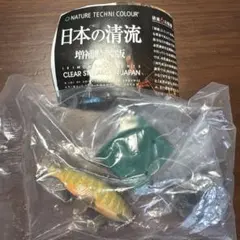 日本の清流　ヤマトイワナ　未使用