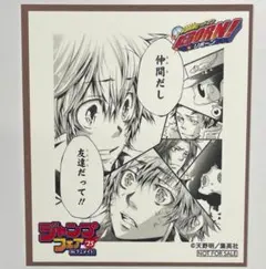 家庭教師ヒットマンREBORN! アニメイト ジャンプフェア 特典 ミニ色紙