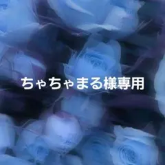 ちゃちゃまる様専用ページ