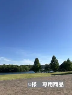 アンテプリマ　ワイヤーバッグ　シルバー