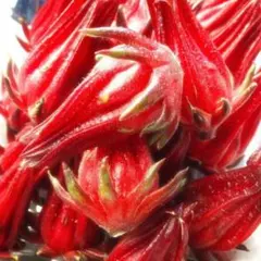 Item thumbnail for item 5798bd97-96b8-4f2e-aec2-7cd42d841cd5