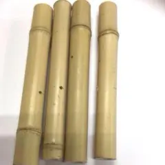 Item thumbnail for item 1f1d81a6-f1c2-432d-823b-02182e43a601