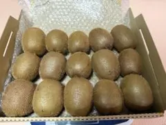 和歌山県産、キウイフルーツ